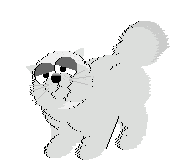 Cat links